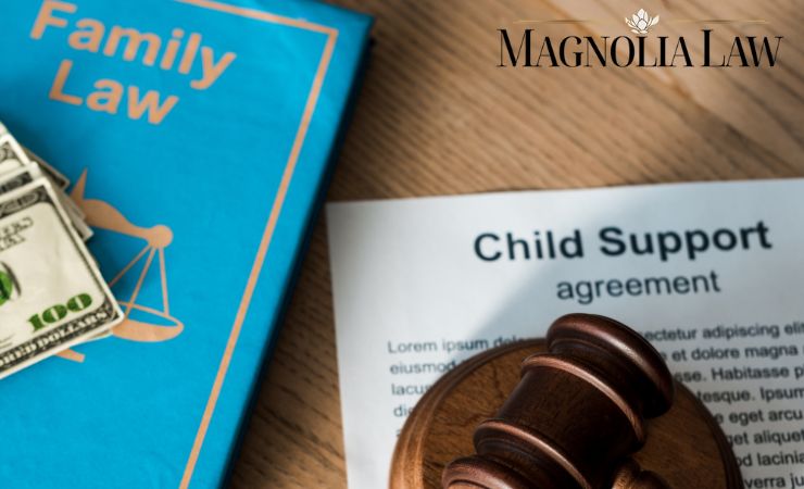 Baton Rouge Child Support Lawyer
